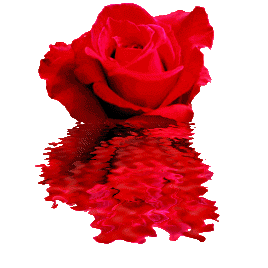 red flower